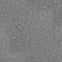 Grå Jämtlandskalksten