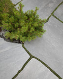 Trädgårdshällar Ljus Oppdalsskiffer