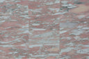 Fauske Norweigan Rose